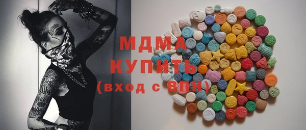 хмурый Арсеньев