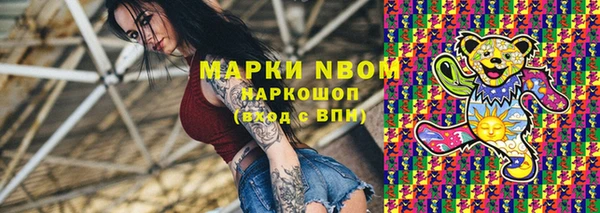 хмурый Арсеньев