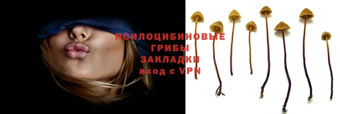 а пвп мука Баксан