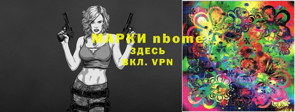 хмурый Арсеньев