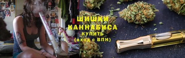 хмурый Арсеньев