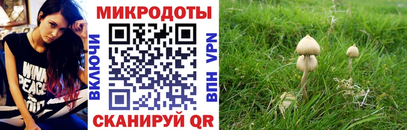 мориарти формула  Зима  Галлюциногенные грибы ЛСД 